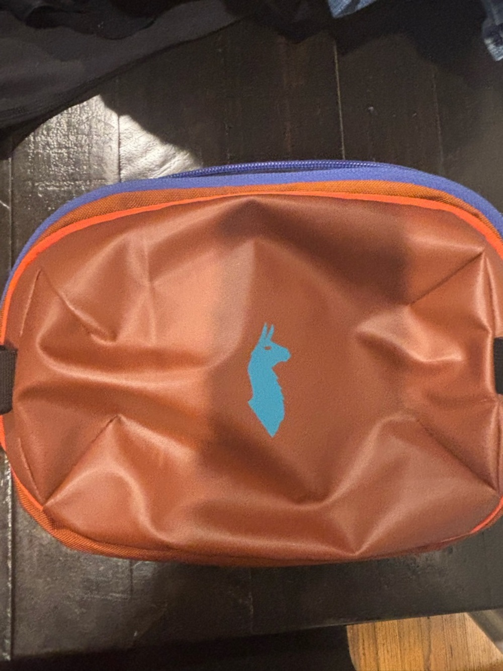 Cotopaxi Rust/ Orange and Purple Allpa Hip Pack Slingbag 4L